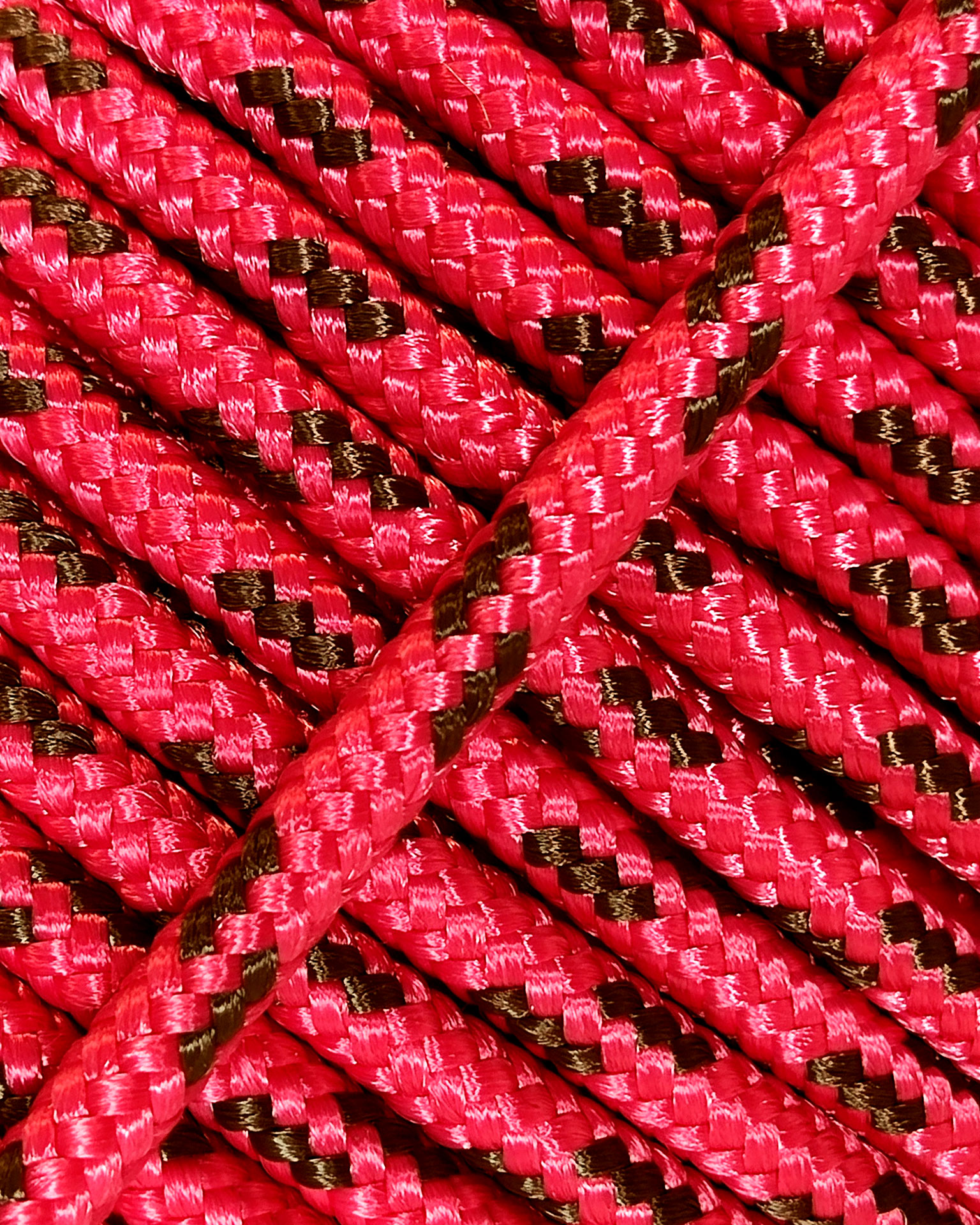 Corde Colorée En Nylon De 200m Pour La Corde Tressée De - Temu France