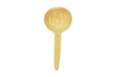 Calebasse louche cuillère Ø10-15 cm