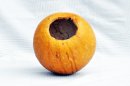 Calebasse entière Ø19-20 cm - Calebasse sphérique
