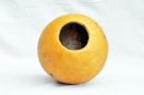 Calebasse entière Ø23-24 cm - Calebasse sphérique