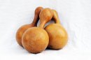 Calebasse gourde Ø17-18 cm - Calebasse bouteille