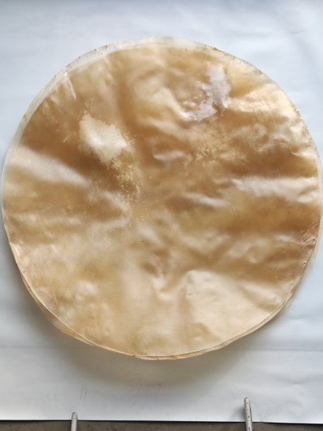 Très très grande peau de veau ou peau de vache fine sans poil pour tambour djembé percussion