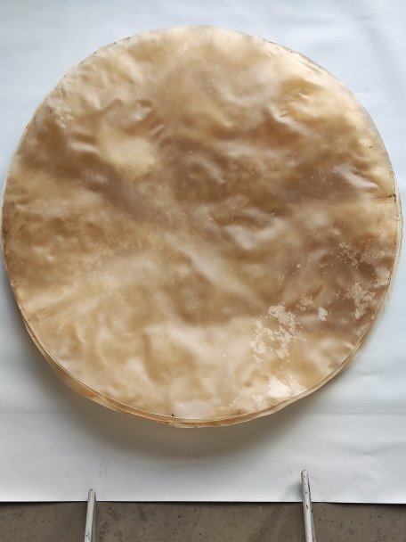 Très très grande peau de vache sans poil pour tambour djembé percussion