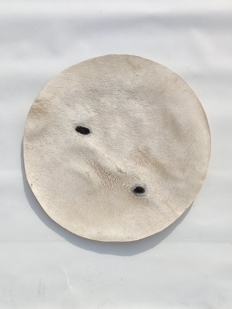 Peau d'âne fine avec poil pour tambour djembé M