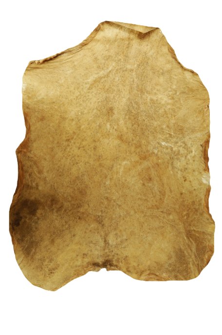 Peau de chèvre du Sahel rasée fine - Peau pour tambour djembé