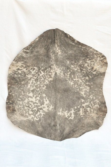 Peau de chèvre du Sahel blanche tachetée - Peau pour tambour djembé