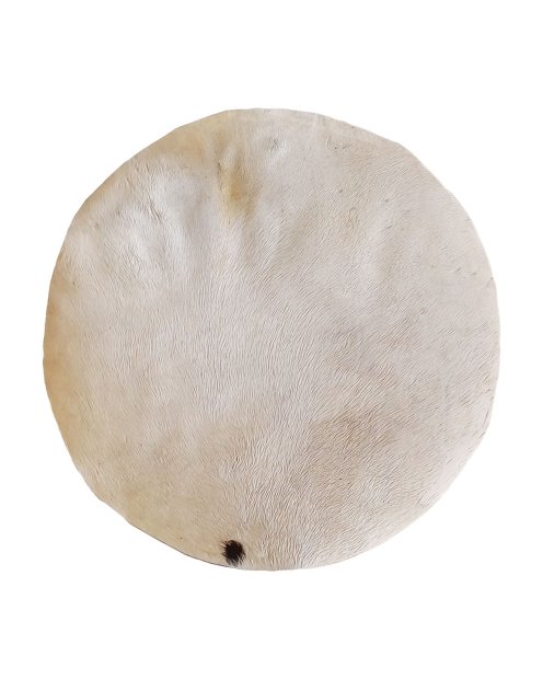 Peau de cheval fine avec poil pour tambour djembé M