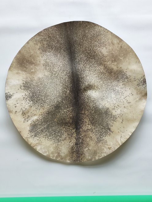 Très grande peau de cerf rasée épaisse pour tambour djembé percussion