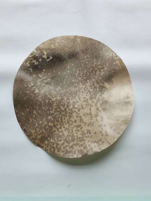 Petite peau de cerf rasée pour tambour djembé