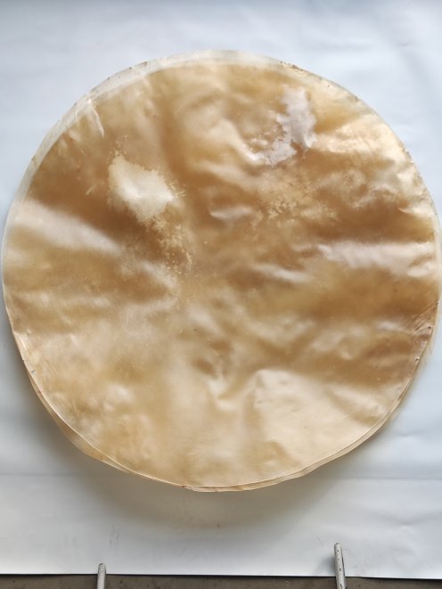 Très très grande peau de veau ou peau de vache fine sans poil pour tambour djembé percussion