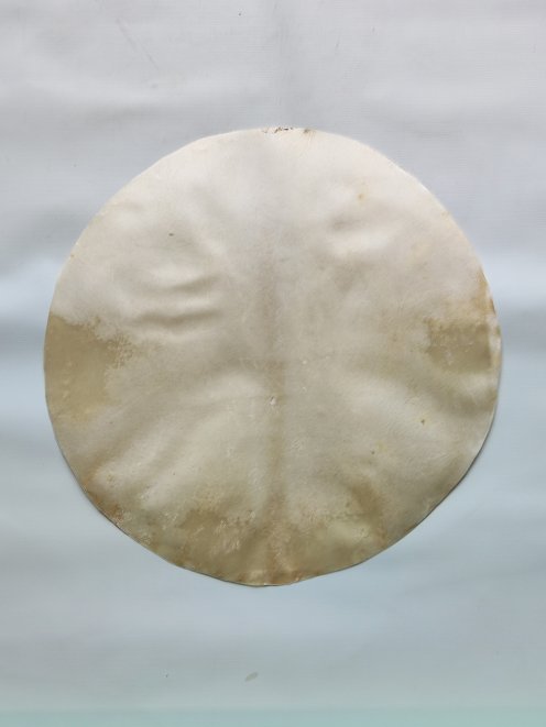 Peau d'élan rasée pour tambour djembé