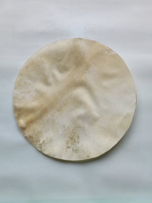 Petite peau d'élan rasée pour tambour djembé