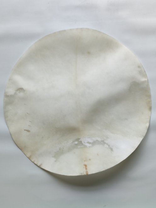 Très grande peau d'élan rasée pour tambour djembé percussion