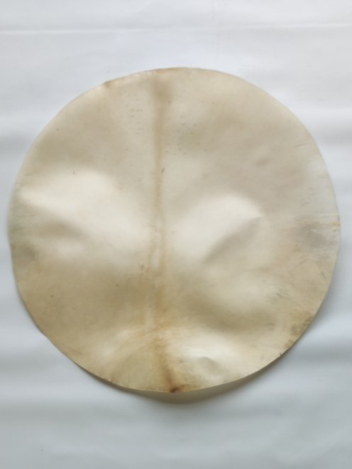 Très grande peau d'élan rasée très épaisse pour tambour djembé percussion