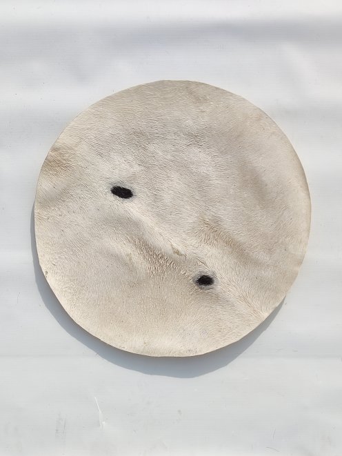 Peau d'âne fine avec poil pour tambour djembé M