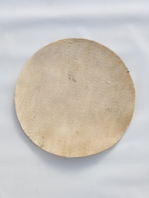 Peau de mulet fine avec poil pour tambour djembé M