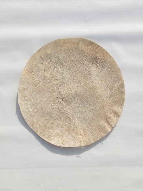 Peau de mulet très fine avec poil pour tambour djembé M