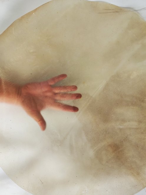 Peau de veau transparente très fine pour tambours sur cadre L