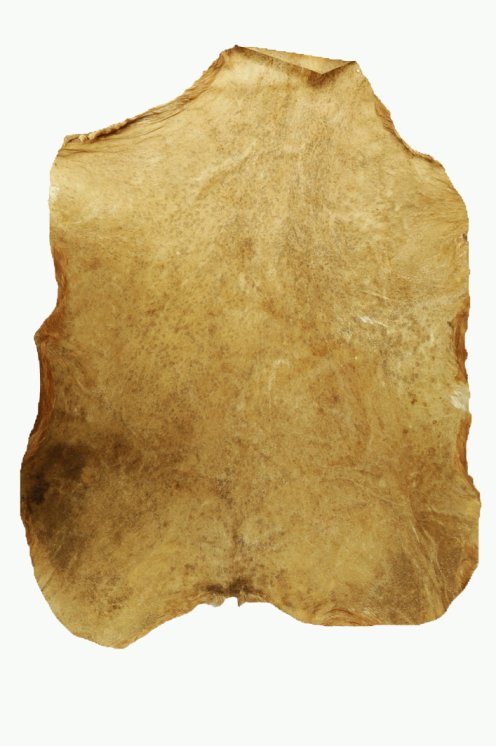 Peau de chèvre du Sahel rasée épaisse - Peau pour tambour djembé