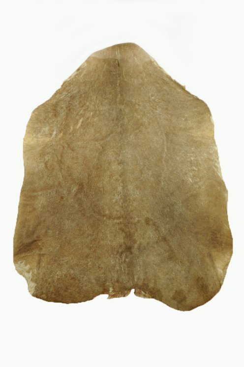 Peau de chèvre du Sahel rasée fine - Peau pour tambour djembé