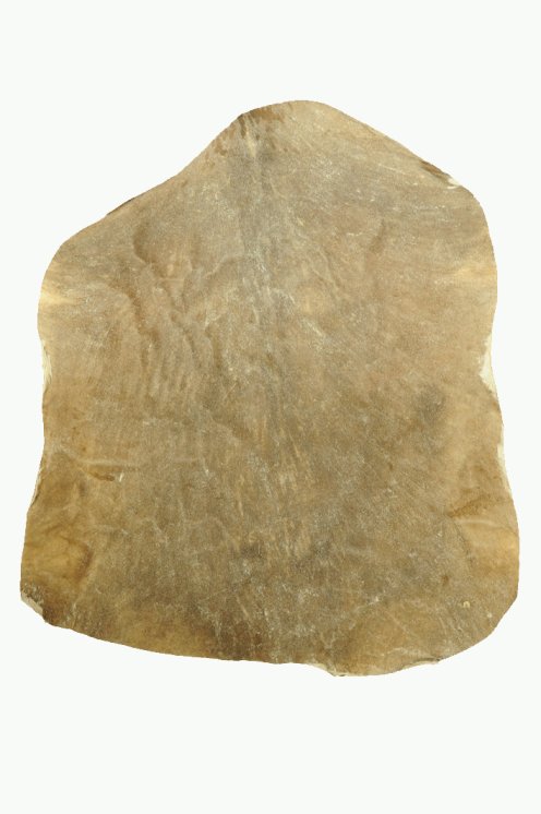 Peau de chèvre du Sahel rasée fine - Peau pour tambour djembé