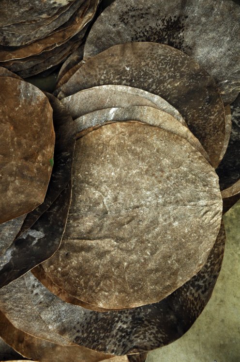 Coupon de peau de chèvre djembé rasée d'épaisseur moyenne - Peau pour djembe tambour