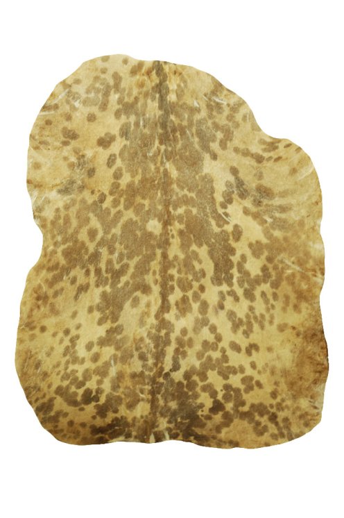 Peau de chèvre du Sahel blanche tachetée fine - Peau pour tambour djembé