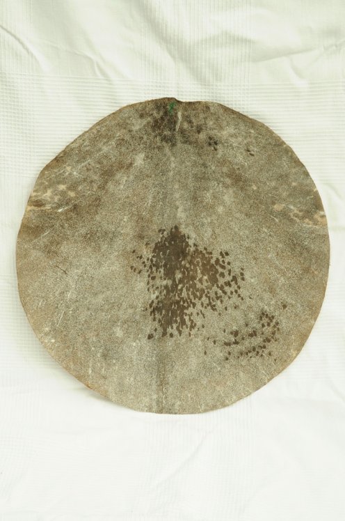 Coupon de peau de chèvre djembé rasée d'épaisseur moyenne - Peau pour djembe tambour