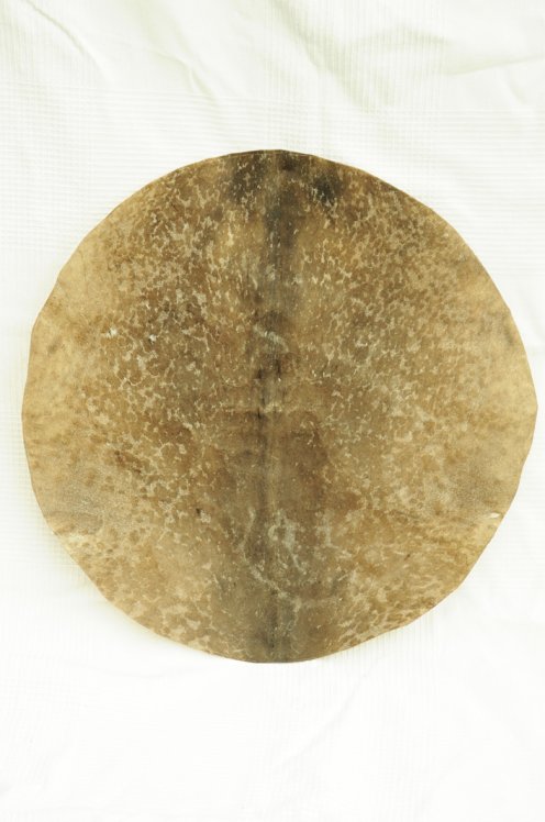 Coupon de peau de chèvre djembé rasée épaisse - Peau pour djembe tambour