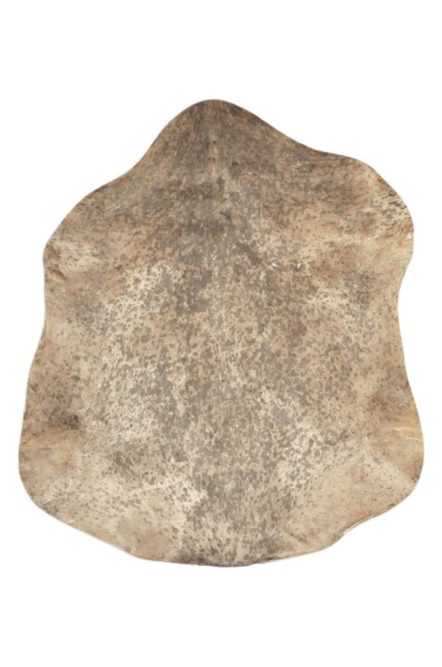 Peau de chèvre du Sahel marron mouchetée épaisse - Peau pour tambour djembé