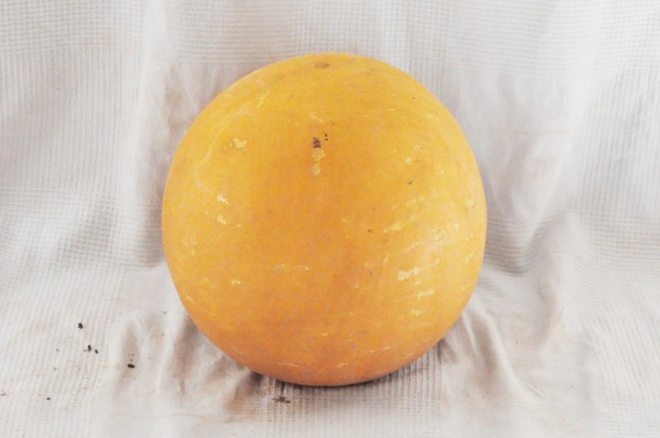 Calebasse entière Ø25-26 cm - Calebasse sphérique