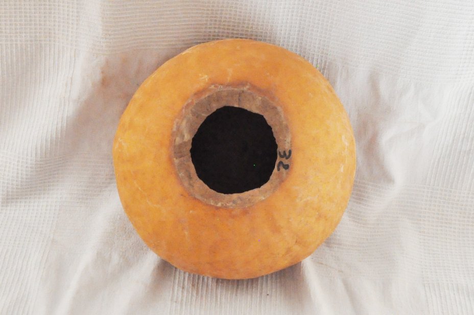 Calebasse entière Ø31-32 cm - Calebasse sphérique