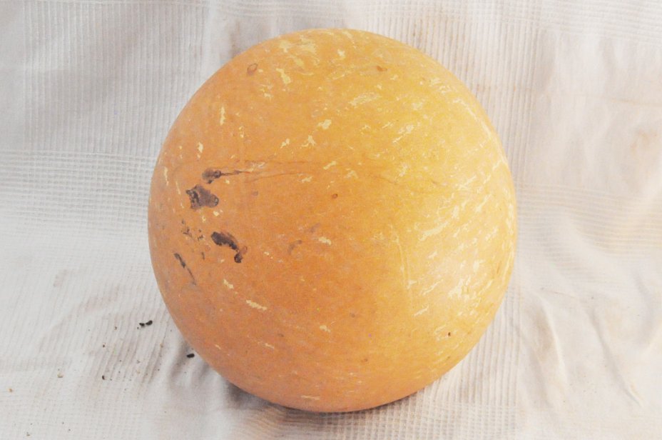 Calebasse entière Ø55-56 cm - Calebasse sphérique