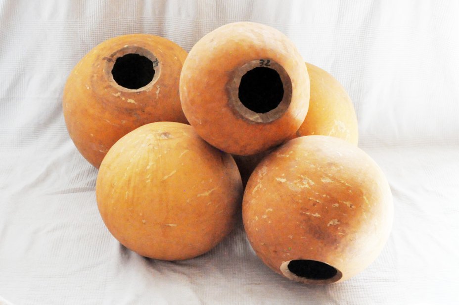 Calebasse entière Ø31-32 cm - Calebasse sphérique