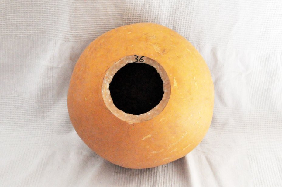 Calebasse entière Ø35-36 cm - Calebasse sphérique