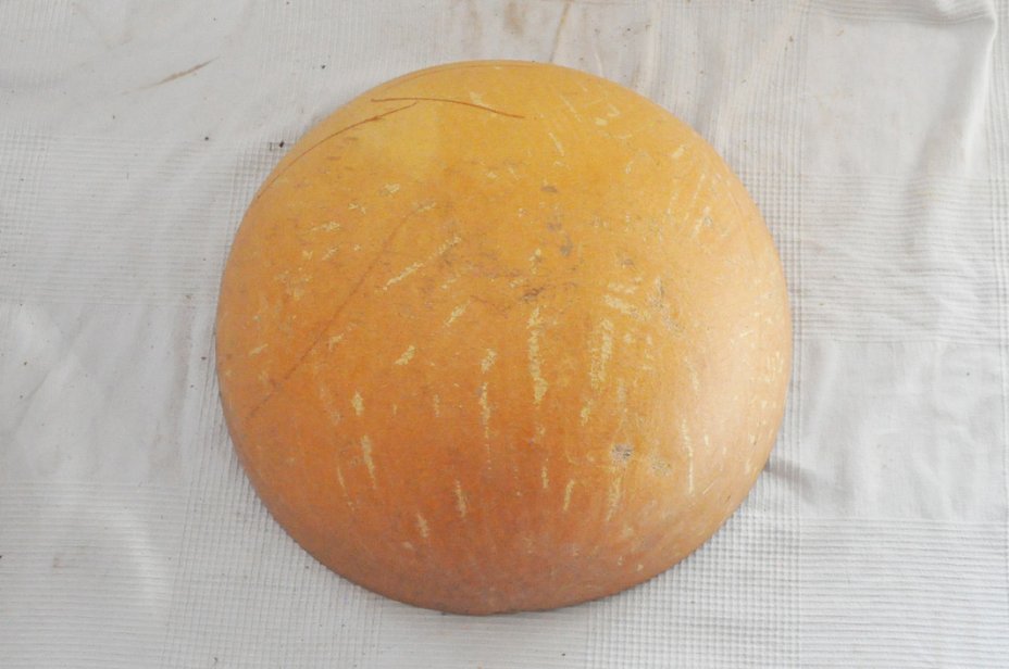 Demi-calebasse Ø43-44 cm - Calebasse hémisphérique