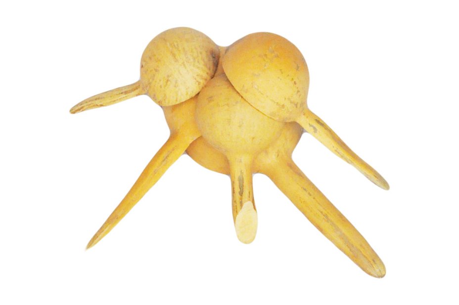 Calebasse louche cuillère Ø10-15 cm
