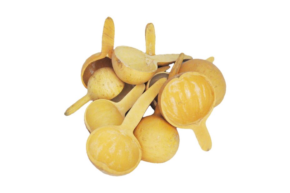 Calebasse louche cuillère Ø10-15 cm