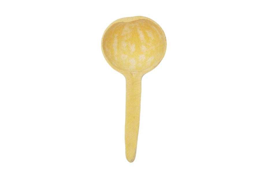 Calebasse louche cuillère Ø10-15 cm