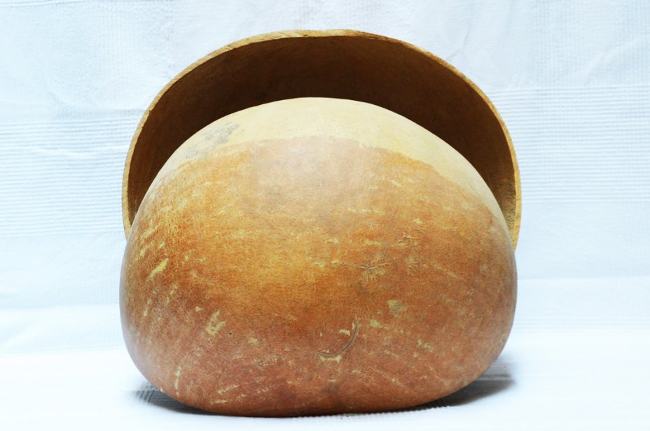 Calebasse ronde Ø50-54 cm - Calebasse hémisphérique