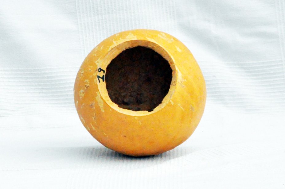 Calebasse entière Ø19-20 cm - Calebasse sphérique