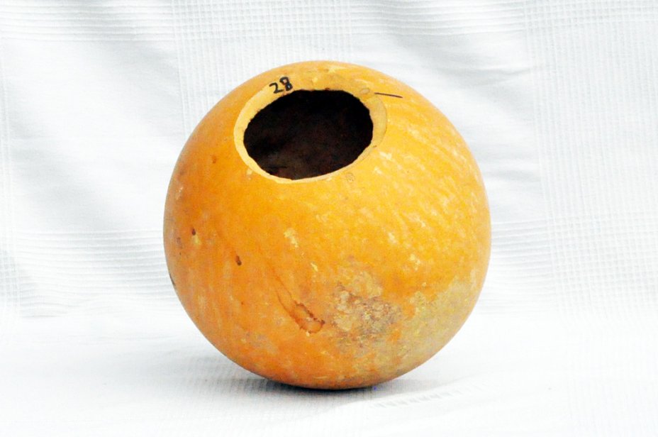 Calebasse entière Ø27-28 cm - Calebasse sphérique