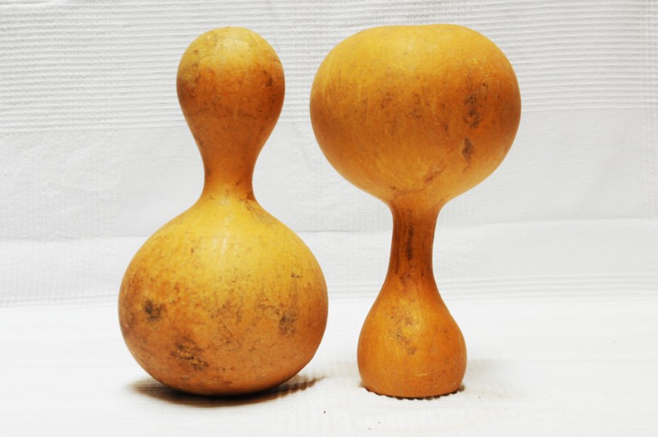 Calebasse gourde Ø27-28 cm - Calebasse bouteille