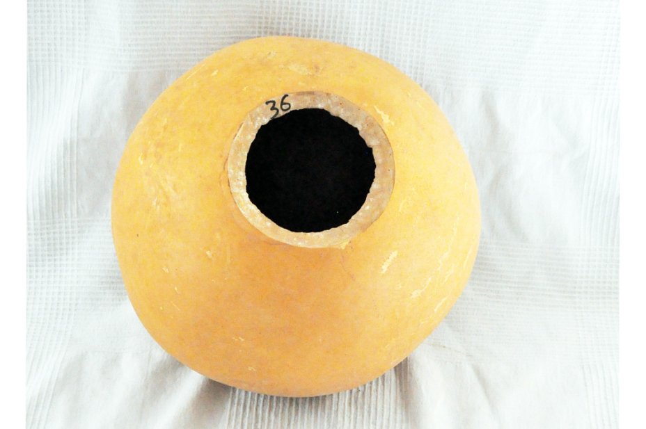 Calebasse entière Ø35-36 cm - Calebasse sphérique