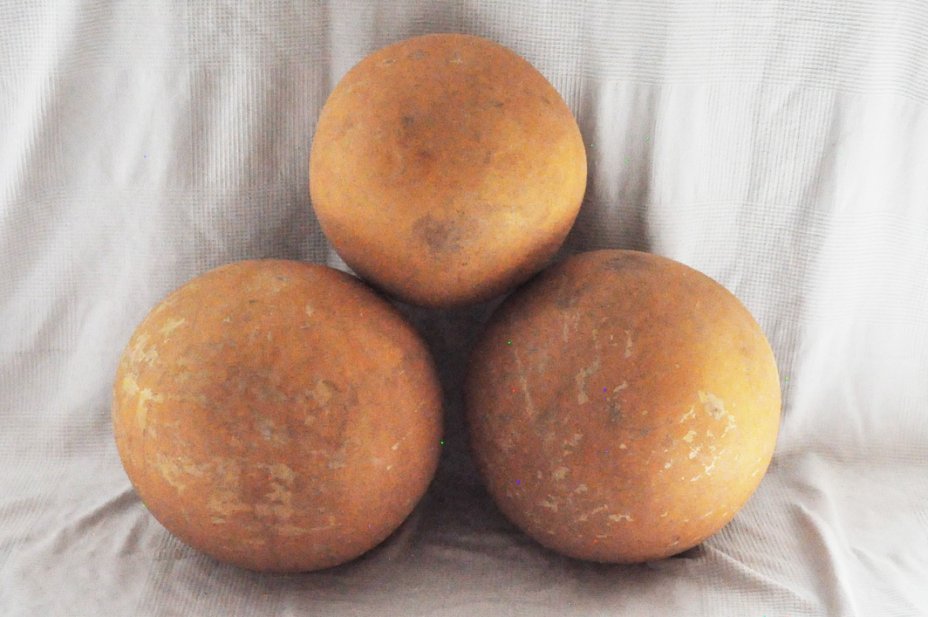 Calebasse entière Ø47-48 cm - Calebasse sphérique