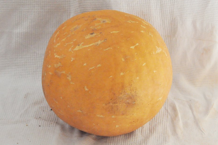 Calebasse entière Ø51-52 cm - Calebasse sphérique
