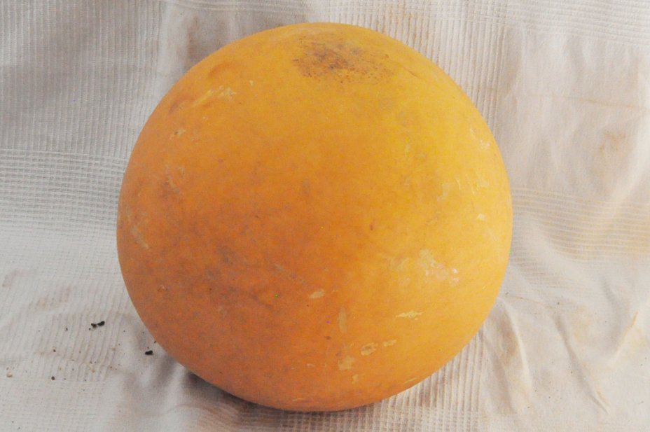Calebasse entière Ø53-54 cm - Calebasse sphérique