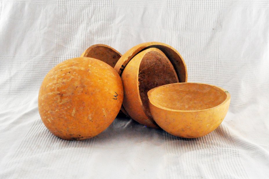 Demi-calebasse Ø23-24 cm - Calebasse hémisphérique