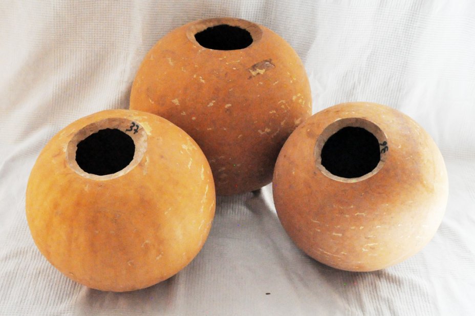 Calebasse entière Ø37-38 cm - Calebasse sphérique