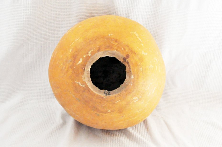 Calebasse entière Ø41-42 cm - Calebasse sphérique